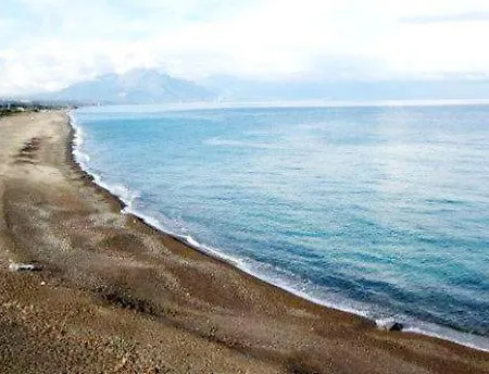 Sirenetta *